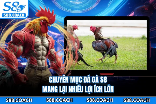 Chuyên mục đá gà S8 mang lại nhiều lợi ích lớn